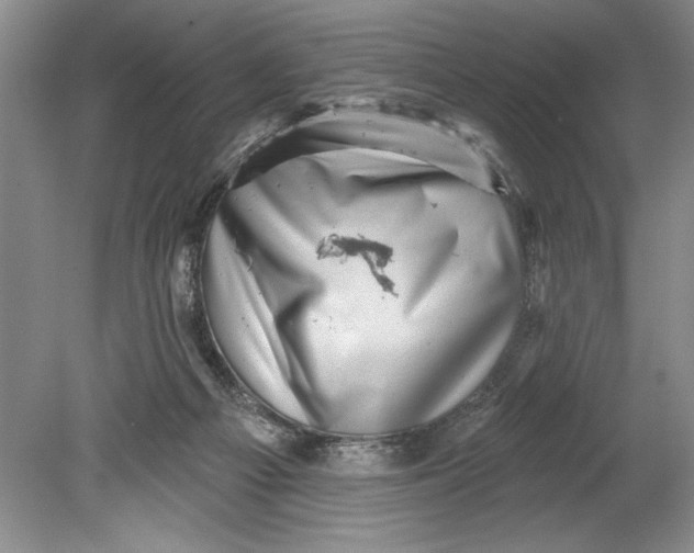 X0000080740121200701021157