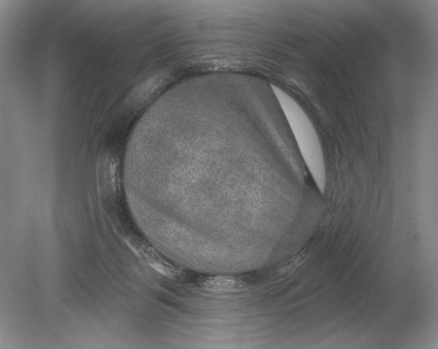 X0000080740123200701021157