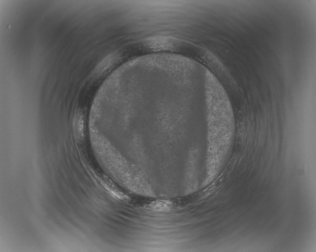 X0000080740124200701021157