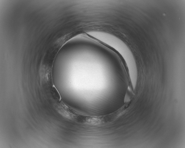 X0000080740125200701021157