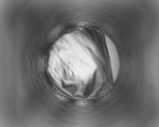 X0000080740127200701021156