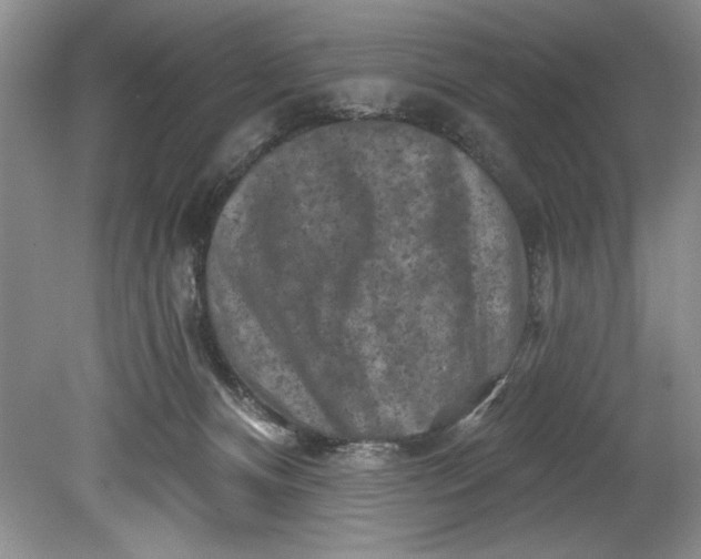 X0000080740128200701021156