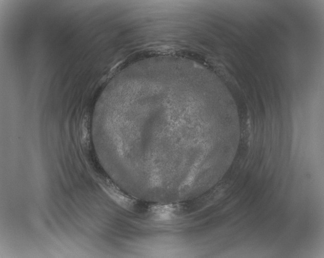 X0000080740131200701021156