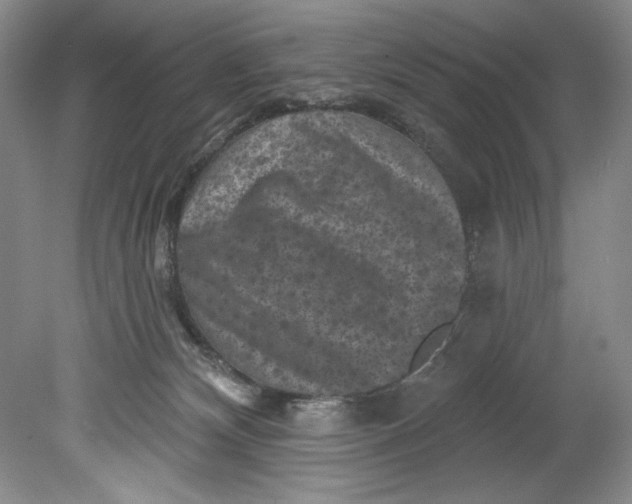 X0000080740132200701021156