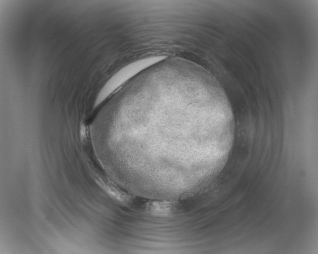 X0000080740134200701021156