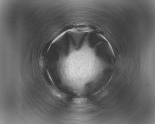 X0000080740135200701021156