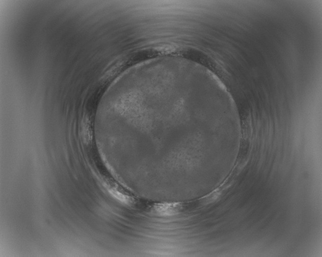 X0000080740136200701021156