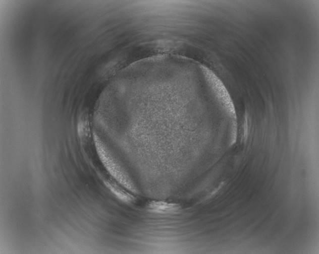 X0000080740137200701021156