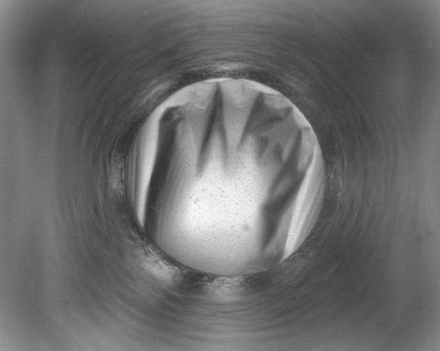 X0000080740138200701021156