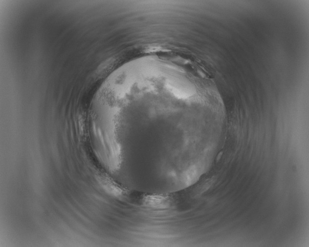 X0000080740139200701021156