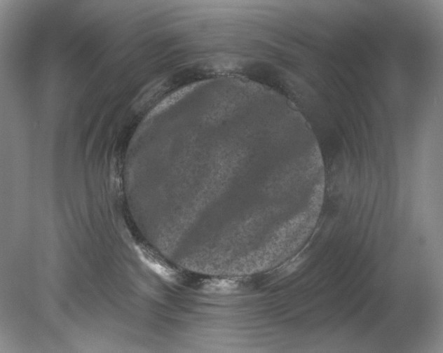 X0000080740140200701021156