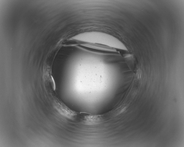 X0000080740141200701021156