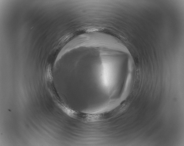 X0000080740143200701021156