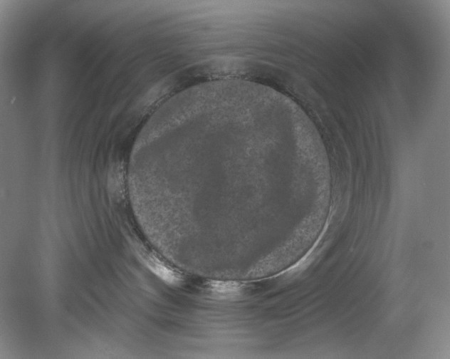 X0000080740144200701021156