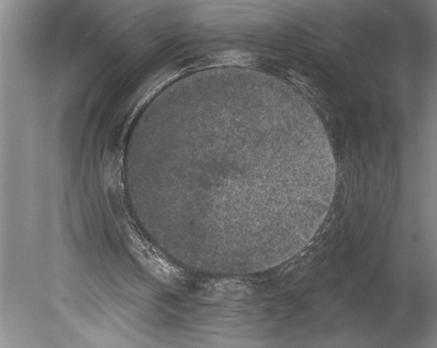 X0000080740146200701021155