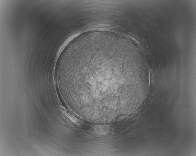 X0000080740147200701021155