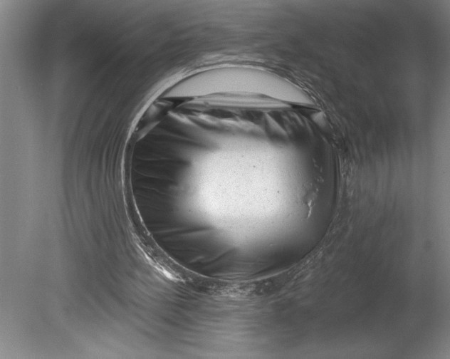 X0000080740148200701021155