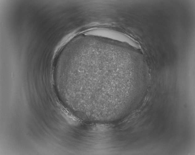 X0000080740149200701021155