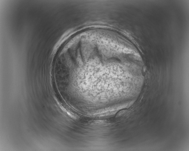 X0000080740151200701021155