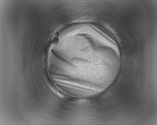 X0000080740153200701021156