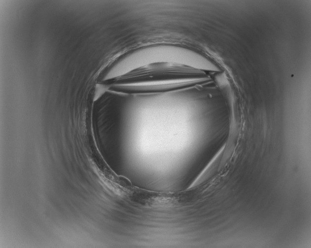 X0000080740154200701021156