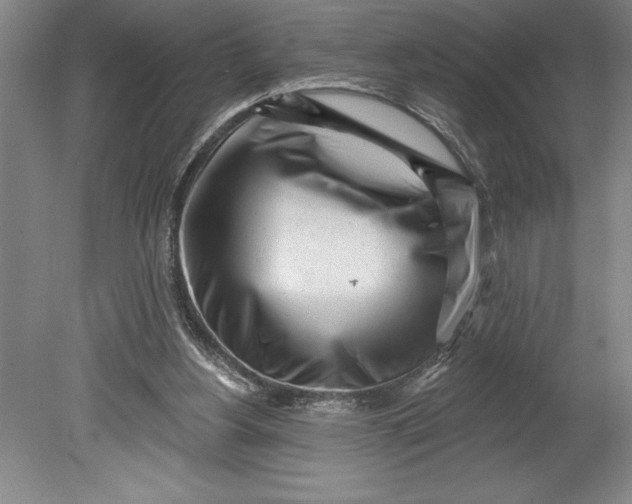 X0000080740156200701021156