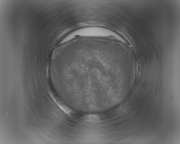 X0000080740157200701021156