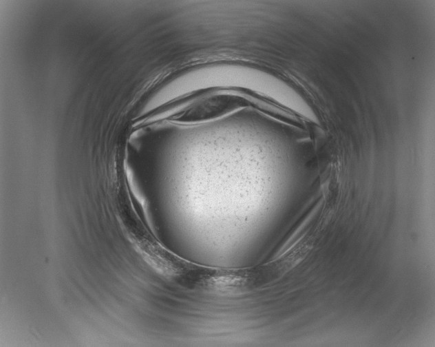 X0000080740158200701021156