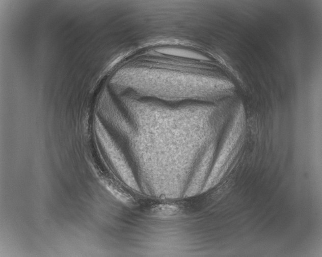 X0000080740159200701021156