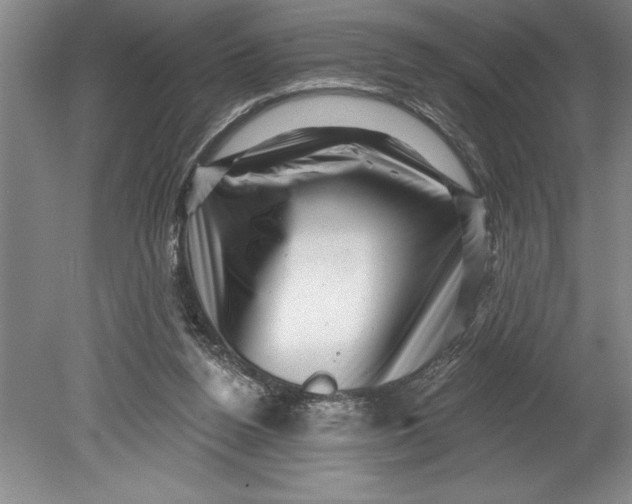 X0000080740160200701021156