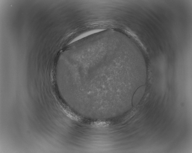 X0000080740161200701021156