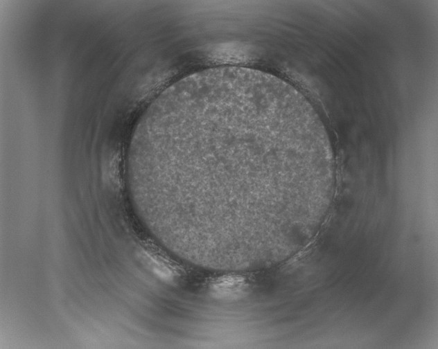 X0000080740162200701021156