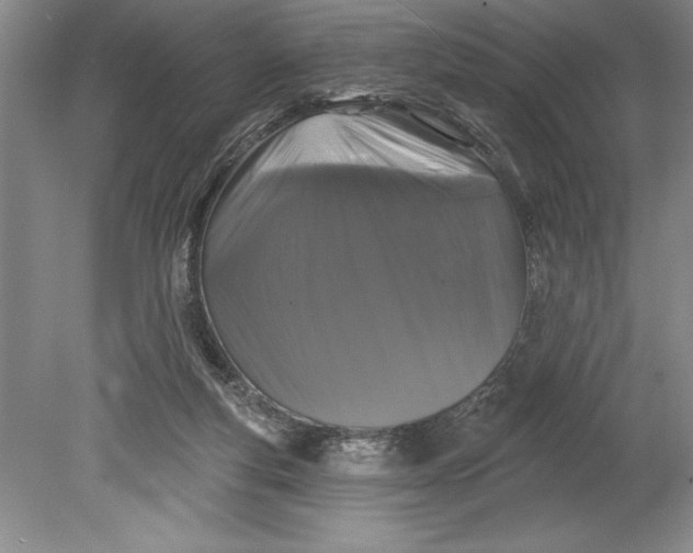 X0000080740163200701021156