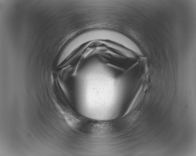 X0000080740164200701021156