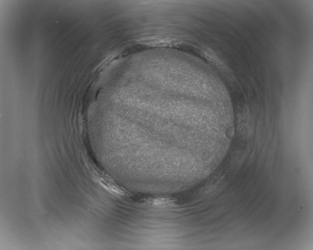 X0000080740165200701021156