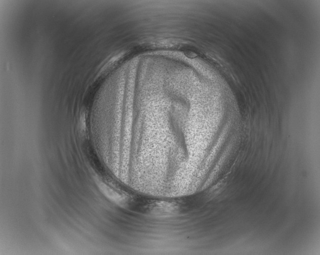 X0000080740166200701021156