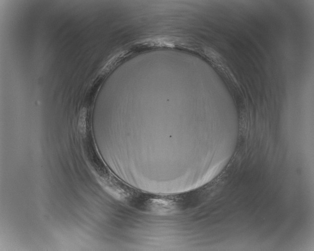 X0000080740167200701021156