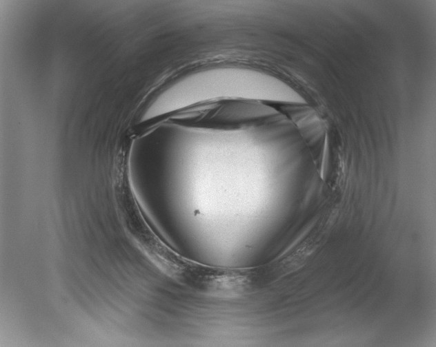 X0000080740168200701021156