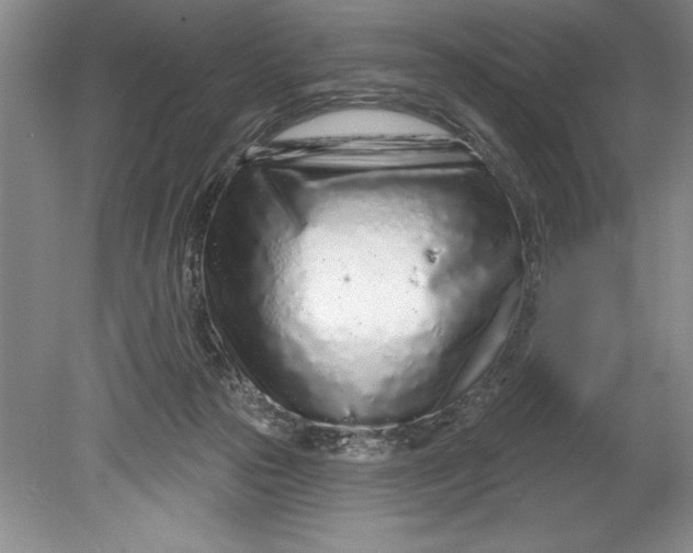 X0000080740169200701021156