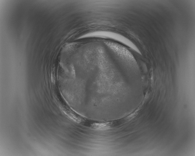 X0000080740170200701021156