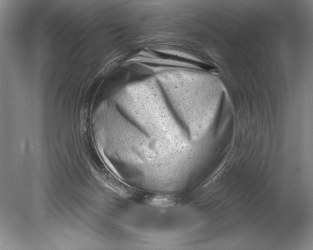 X0000080740171200701021156