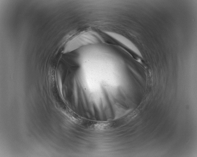 X0000080740172200701021156