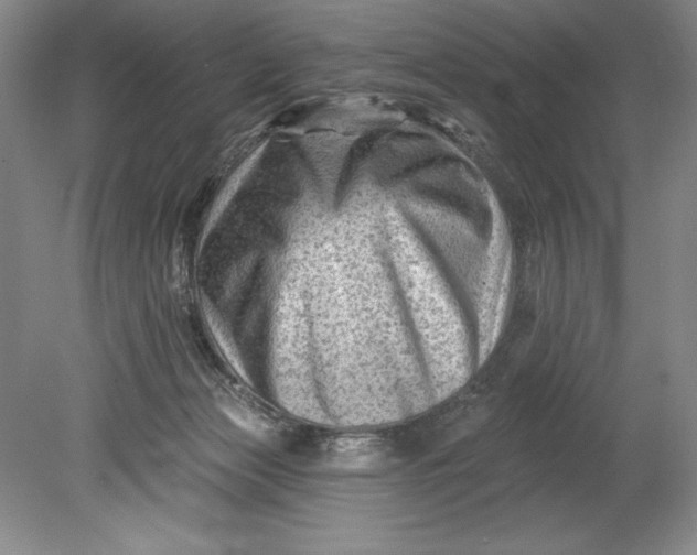 X0000080740173200701021156