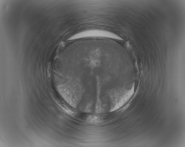 X0000080740174200701021156