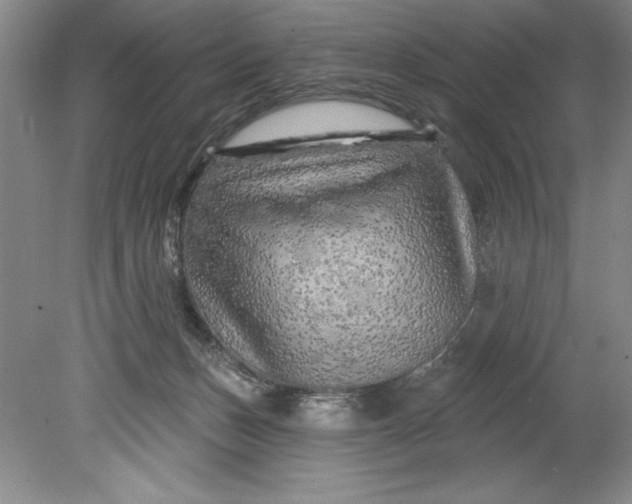 X0000080740175200701021156