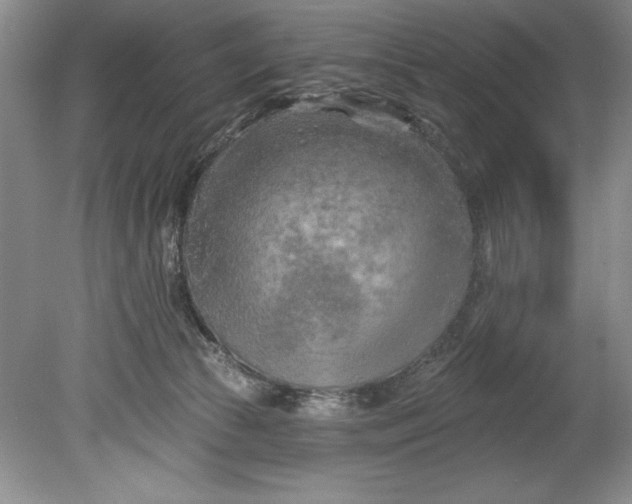 X0000080740177200701021156