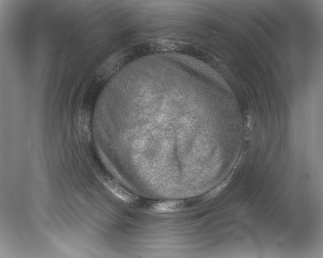 X0000080740178200701021156