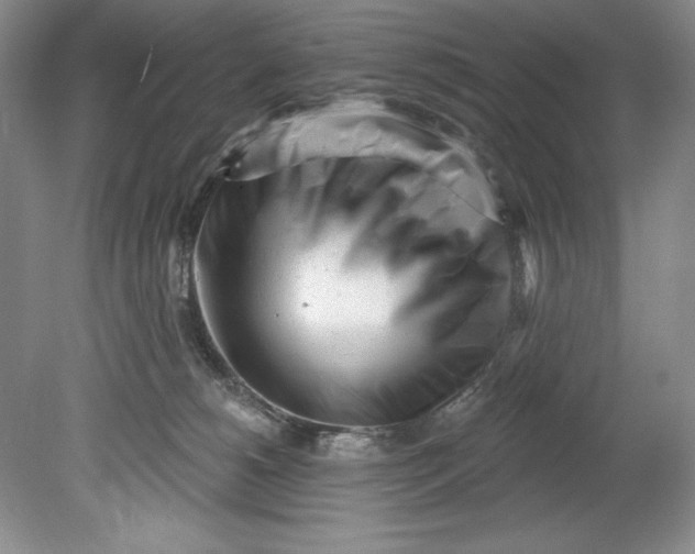 X0000080740180200701021156