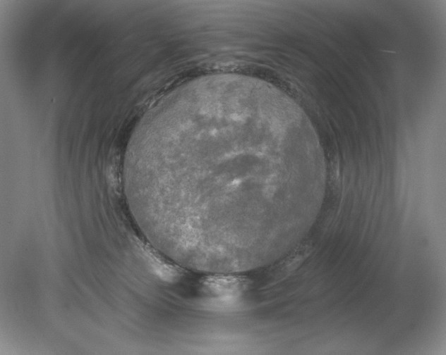 X0000080740181200701021156