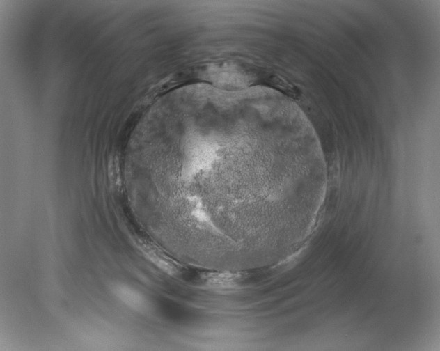 X0000080740182200701021156